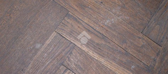 50 rooms Villa in Bosco Chiesanuova, Italy No. 24471 18