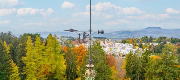 50 rooms Villa in Bosco Chiesanuova, Italy No. 24471 24