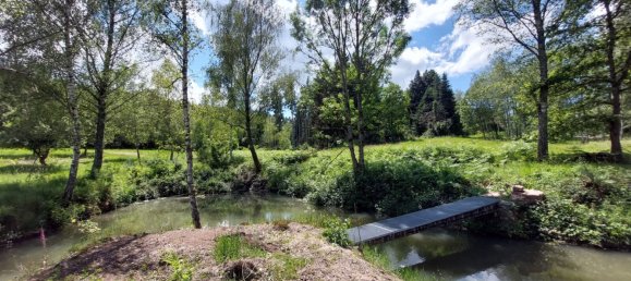 Terrain à Saulcy-sur-Meurthe, France No. 265896 2