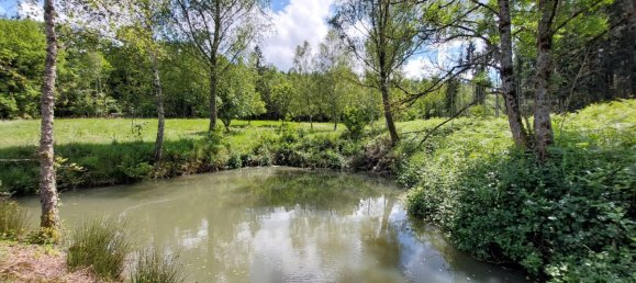 Terrain à Saulcy-sur-Meurthe, France No. 265896 5