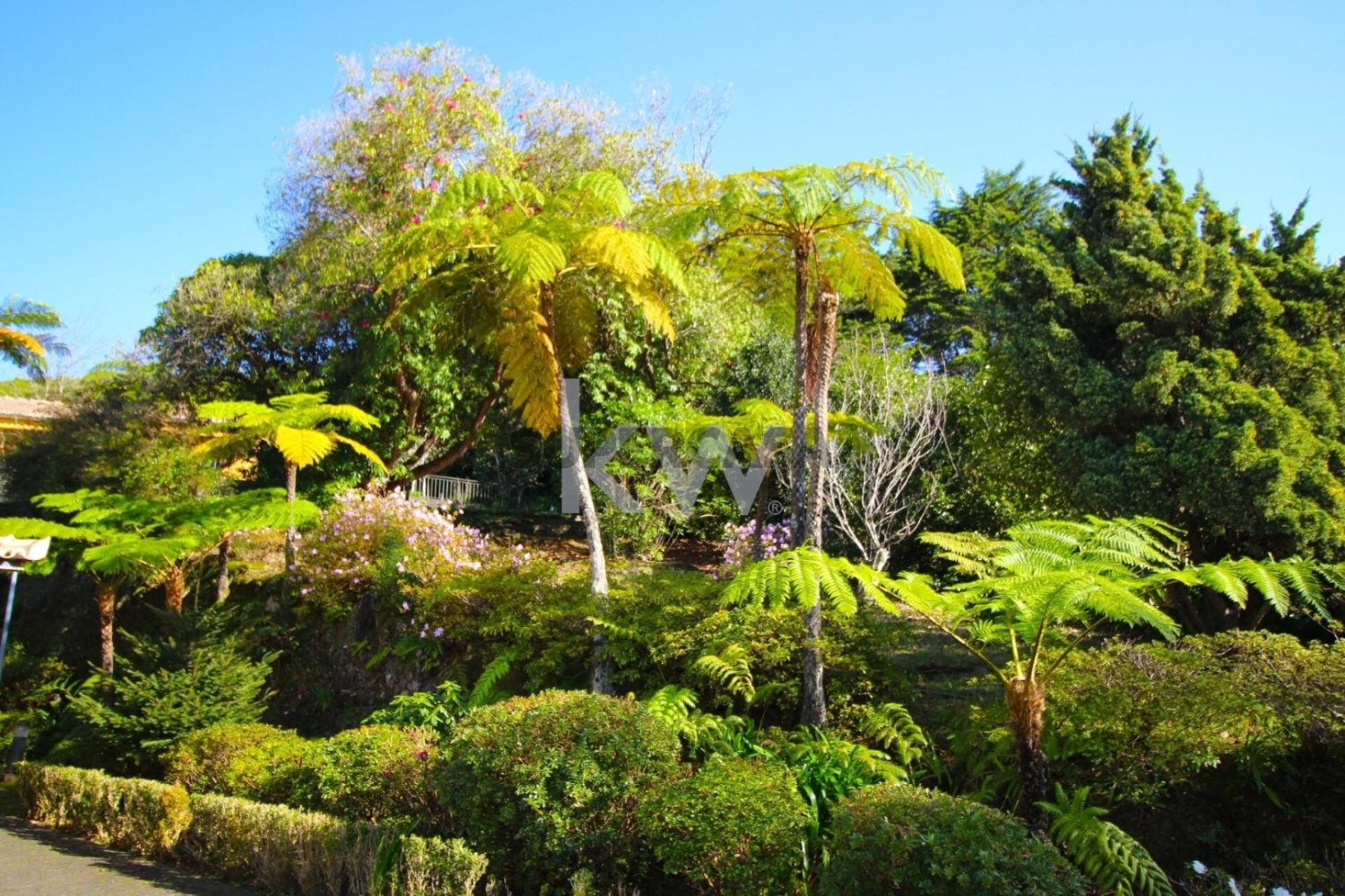 9 bedrooms Bungalow in Santa Cruz, Portugal No. 226924