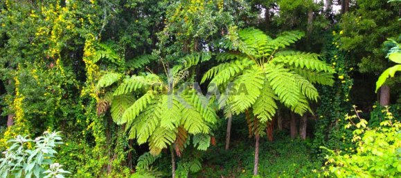 9 bedrooms Bungalow in Santa Cruz, Portugal No. 226924 44