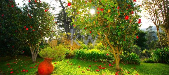 9 bedrooms Bungalow in Santa Cruz, Portugal No. 226924 39