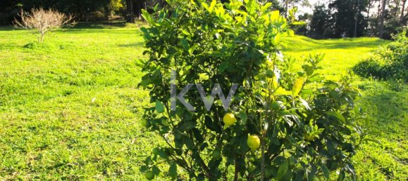 9 bedrooms Bungalow in Santa Cruz, Portugal No. 226924 49