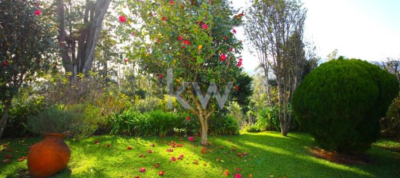 9 bedrooms Bungalow in Santa Cruz, Portugal No. 226924 35