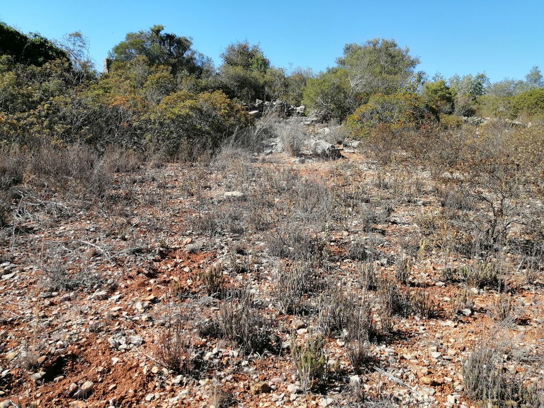 1200m² Land in Faro, Portugal No. 63572