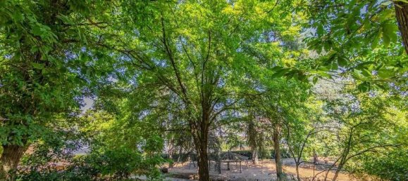 8 chambres Maison à San Cesareo, Italy No. 143909 23