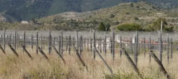 3 bedrooms House in Granada, Spain No. 141510 4