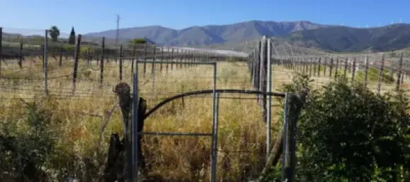 3 bedrooms House in Granada, Spain No. 141510 41