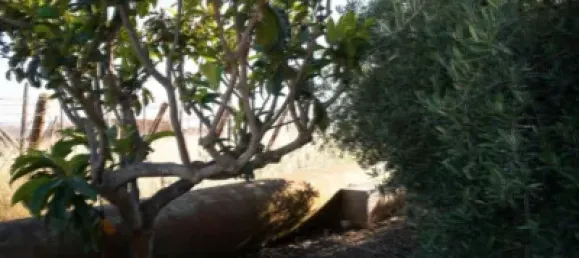 3 bedrooms House in Granada, Spain No. 141510 30