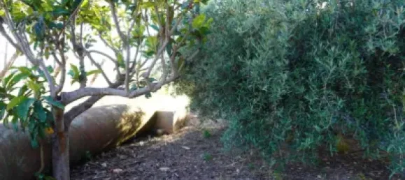 3 bedrooms House in Granada, Spain No. 141510 29