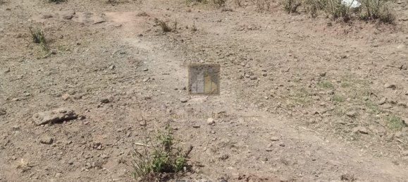 Grundstück in Al Khawaneej, UAE 769m², Nr. 7991 14