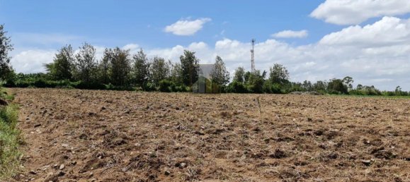 Grundstück in Al Khawaneej, UAE 769m², Nr. 7991 11