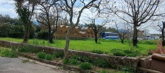 6 bedrooms Villa in Marzano Appio, Italy No. 325649 17