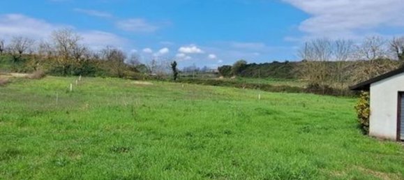 6 bedrooms Villa in Marzano Appio, Italy No. 325649 10