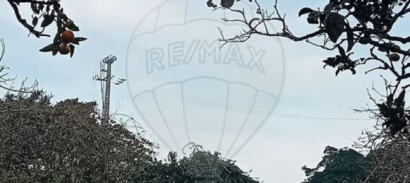 5 Schlafzimmer Haus in Vila Nova de Gaia, Portugal, Nr. 29734 12