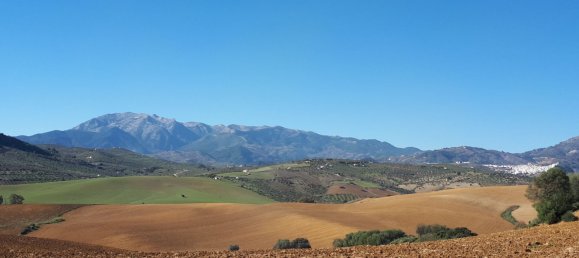 Земельный участок в Коин, Испания № 148258 3