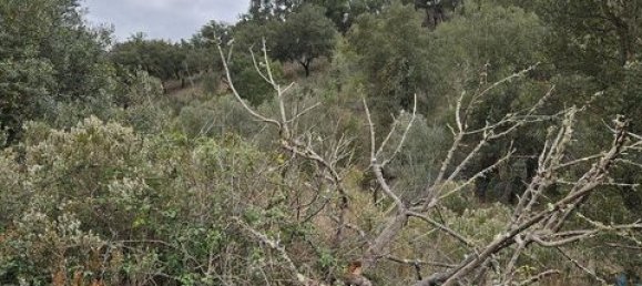 3 Schlafzimmer Stadthaus in Odemira, Portugal, Nr. 150180 20