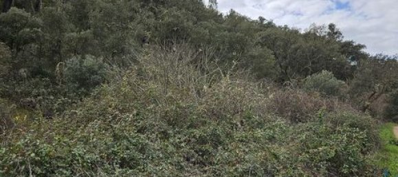 3 Schlafzimmer Stadthaus in Odemira, Portugal, Nr. 150180 19