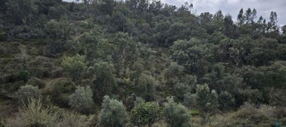 3 Schlafzimmer Stadthaus in Odemira, Portugal, Nr. 150180 11