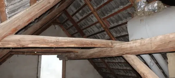 Studio in Harz, Germany No. 222045 6