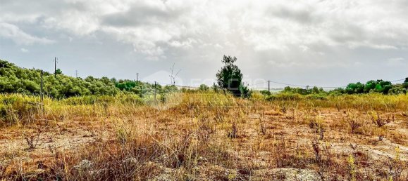 Земельный участок 493м² в Сантарен, Португалия № 9468 31