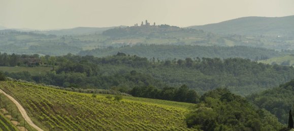 5 rooms House in Certaldo, Italy No. 214577 20