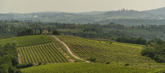 5 rooms House in Certaldo, Italy No. 214577 19