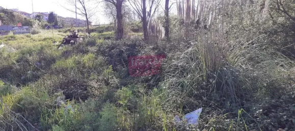  Land in Vila Nova de Gaia, Portugal No. 171474 3