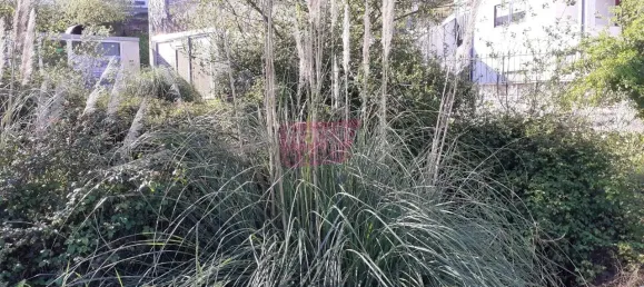  Land in Vila Nova de Gaia, Portugal No. 171474 2