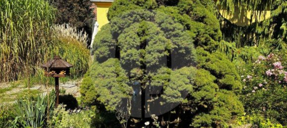 Дом с 3 спальнями в Stendal, Германия № 318720 3