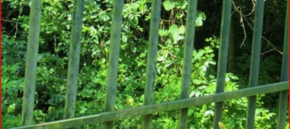 Земельный участок 14980м² в Вальгрегентино, Италия № 312058 3