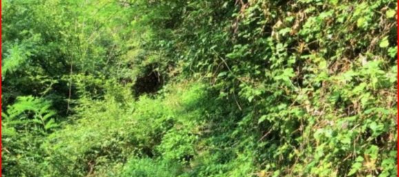 Земельный участок 14980м² в Вальгрегентино, Италия № 312058 9