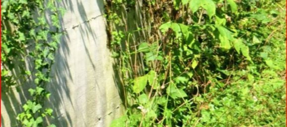 Земельный участок 14980м² в Вальгрегентино, Италия № 312058 2