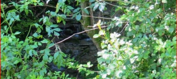 Земельный участок 14980м² в Вальгрегентино, Италия № 312058 8