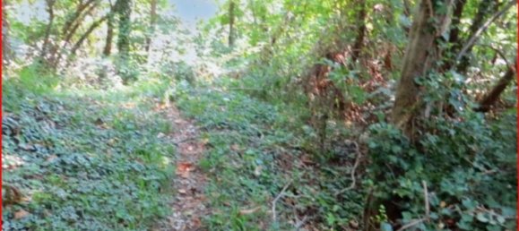 Земельный участок 14980м² в Вальгрегентино, Италия № 312058 5