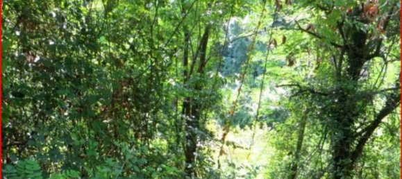 Земельный участок 14980м² в Вальгрегентино, Италия № 312058 10