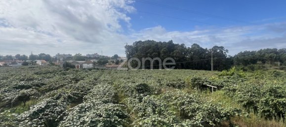 Casa T5 em São Mamede de Infesta, Portugal N.º 132892 5