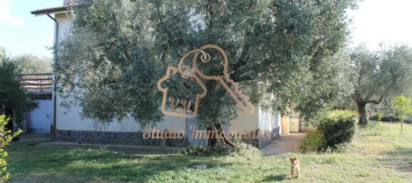 4 rooms Villa in Ardea, Italy No. 238323 3