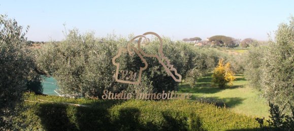 4 rooms Villa in Ardea, Italy No. 238323 21