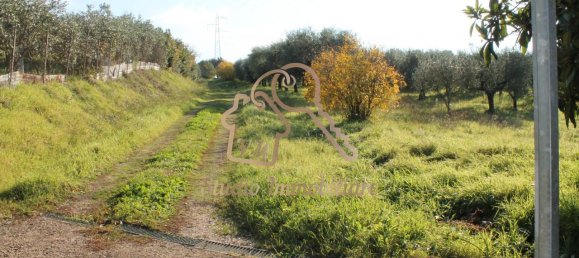 4 rooms Villa in Ardea, Italy No. 238323 29