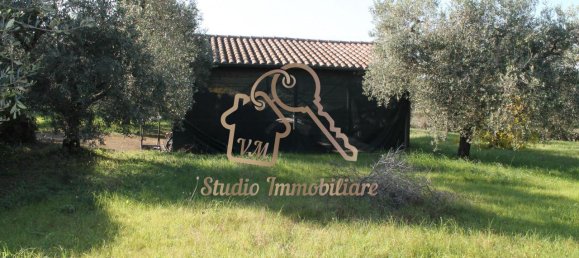 4 rooms Villa in Ardea, Italy No. 238323 7