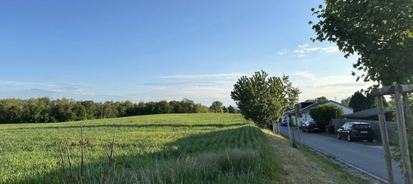 3 rooms Bungalow in Steinbrunn, Austria No. 189094 25