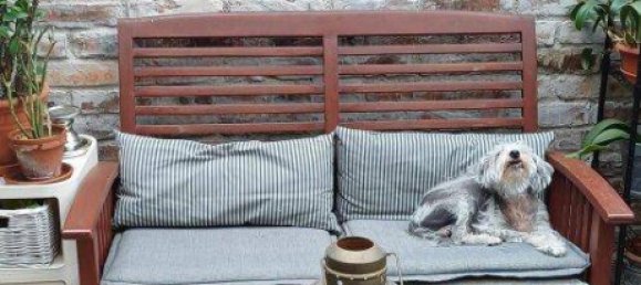 3 rooms Bungalow in Steinbrunn, Austria No. 189094 20