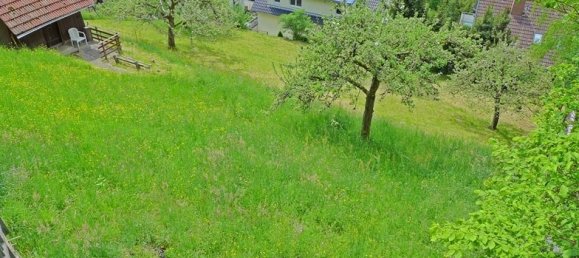 Terreno en Calw, Germany No. 34352 5