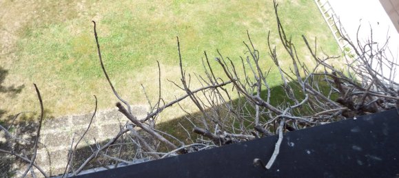 Casa de 7 habitaciónes en Baden-Wurttemberg, Germany No. 32153 22