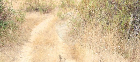 Terreno en Silves, Portugal 26860 m² No. 43848 3