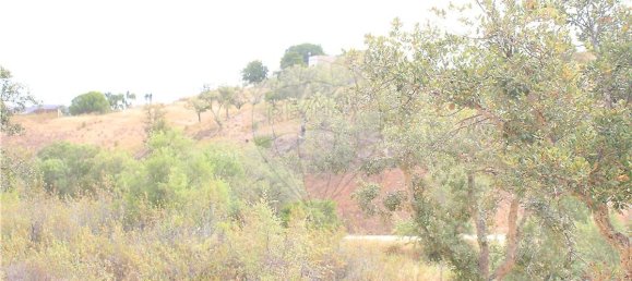 Terreno en Silves, Portugal 26860 m² No. 43848 5