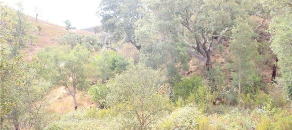 Terreno en Silves, Portugal 26860 m² No. 43848 4