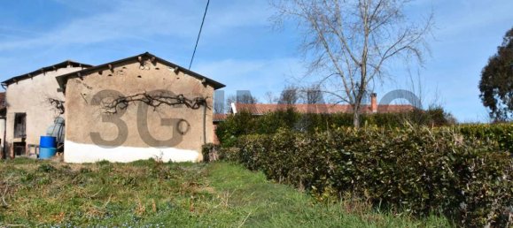 استوديو في Mouzieys-Teulet, France رقم 205438 5